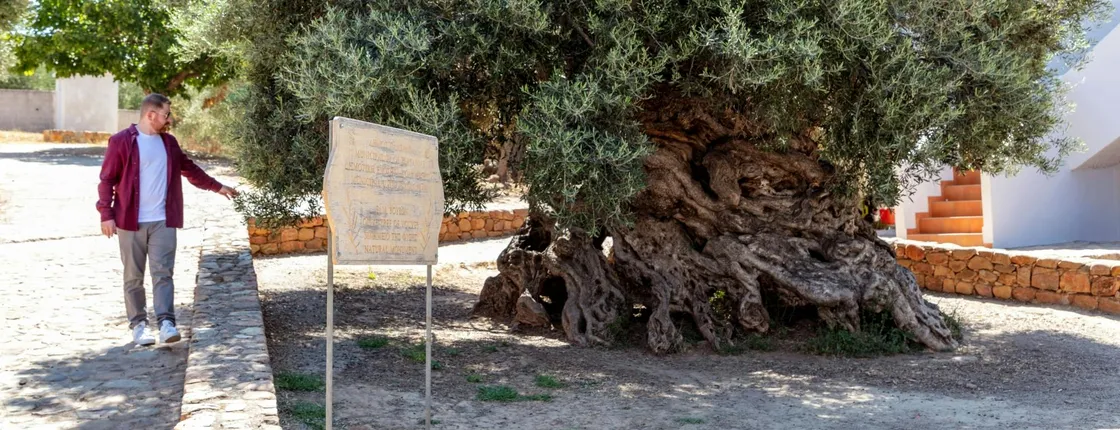 Full-Day Crete wine tasting and 4x4 off-road tour