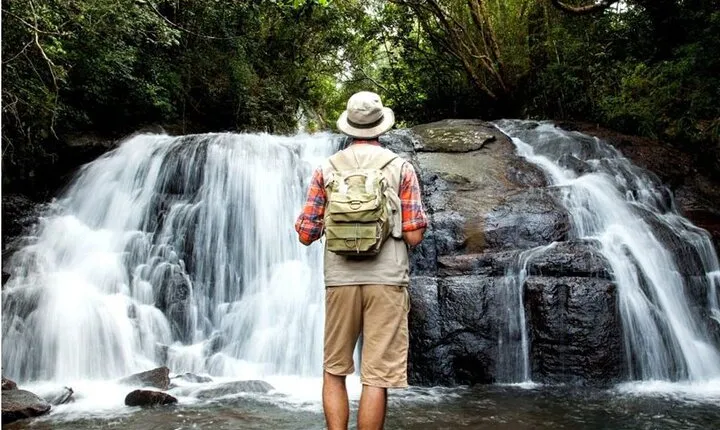 Sinharaja Rain Forest Day Tour from Mirissa, Galle, Bentota Area