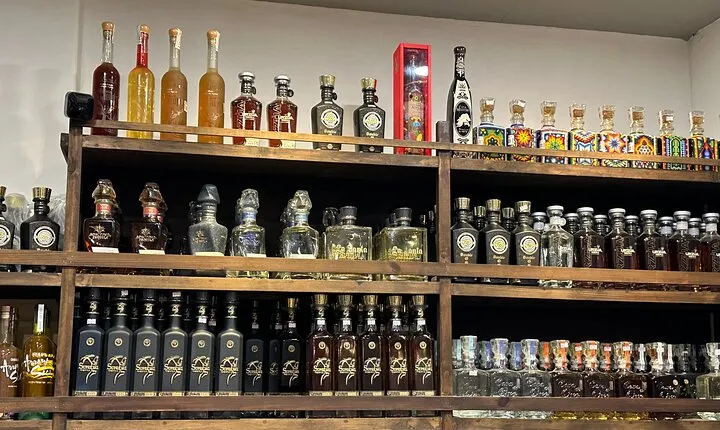 San Jose del Cabo- Tequila, Mezcal & Mixology Class