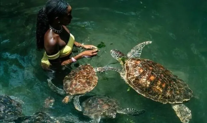 Full Day Private Zanzibar Tour with Sunset Beach