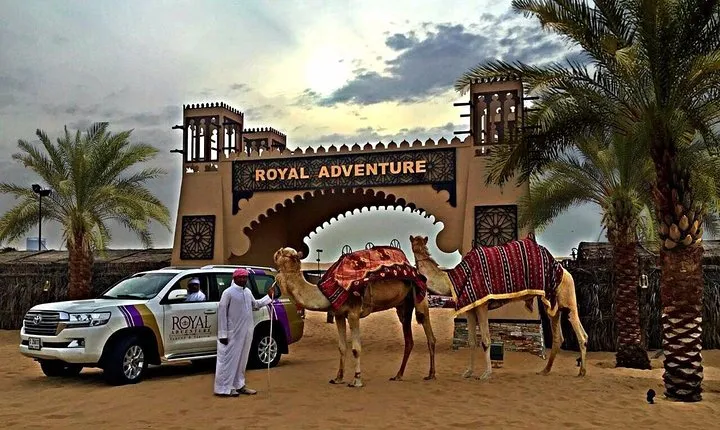 Desert Safari Evening Tours:- Special Rides, BBQ Buffet ,Live Entertainment