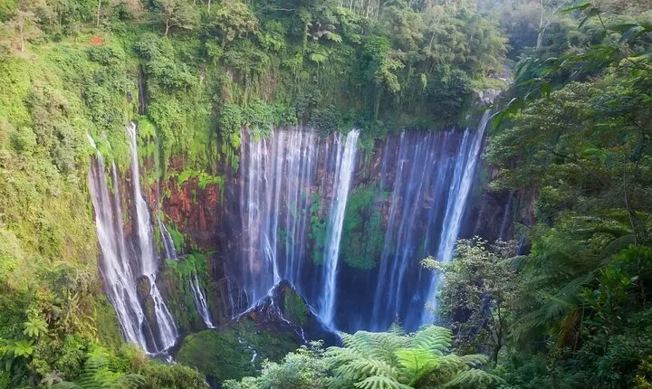 From Jakarta : Java Island To Bali Island 14 Day (Private Tour)