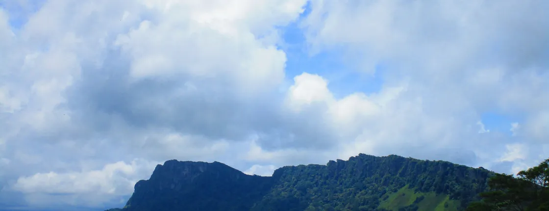 Hanthana Mountain hike to Uda Kanda temple and tea plantation from Kandy