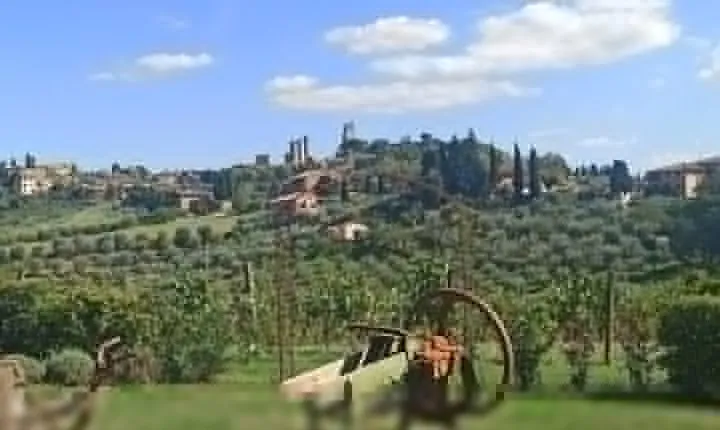 "Sweet Hills of Chianti & San Gimignano" with Lunch & 2 Tastings