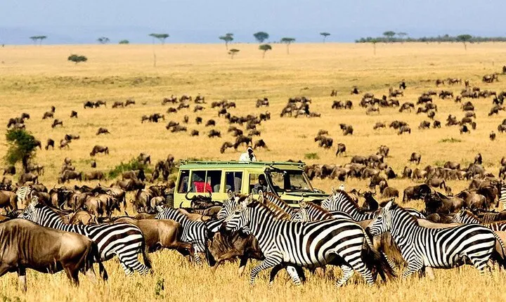 3 Day's Safari