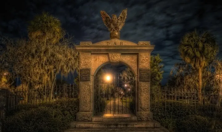 Savannah Beyond Good & Evil Tour