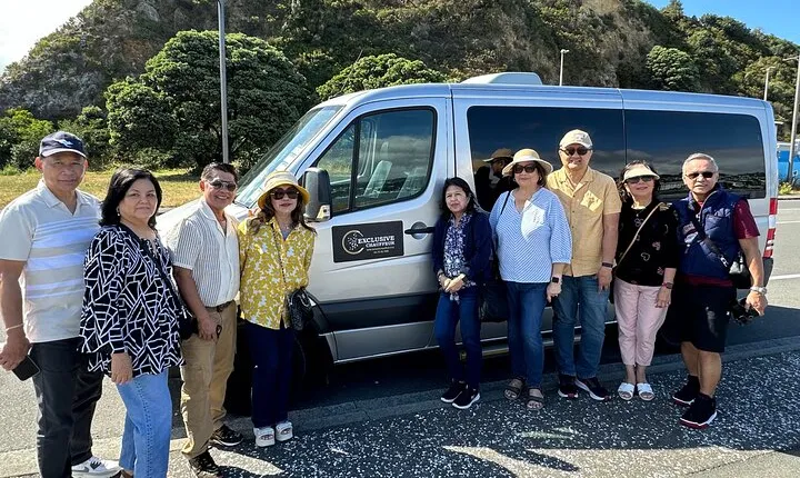 Private Wellington City Highlight Tour
