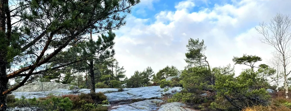 Private Lochner hike in Kristiansand