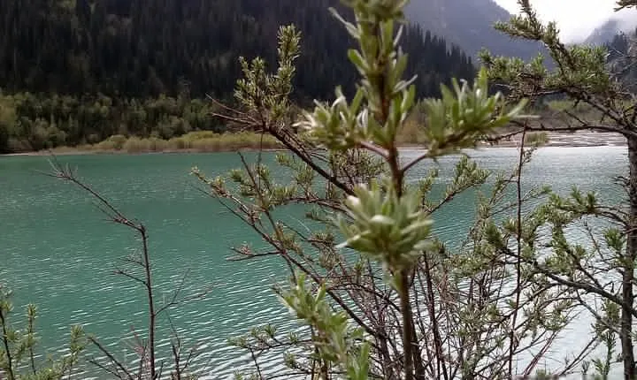 Individual tour to Issyk Lake+trout farm+museum+arboletum. One day tour