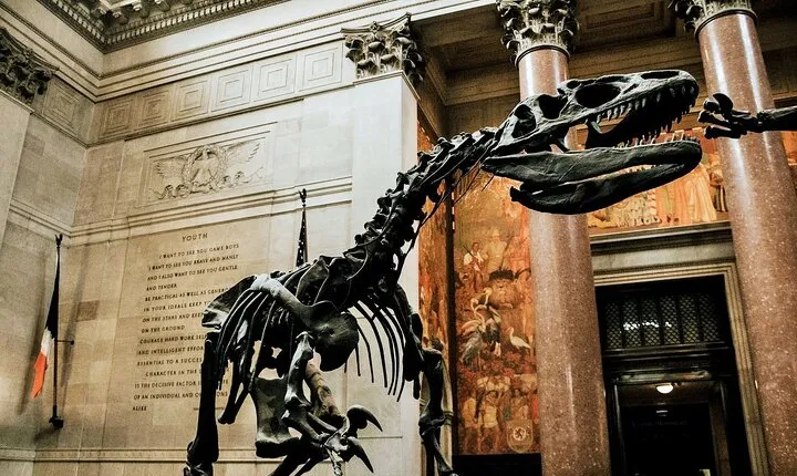 NYC American Museum of Natural History Ticket and Audio Tour