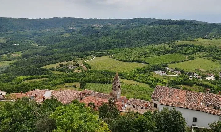 Full day tour of Istria with truffle tasting