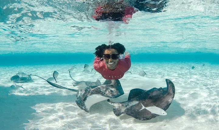 4 hour Private Boat charter to Stingray City, Snorkeling and More
