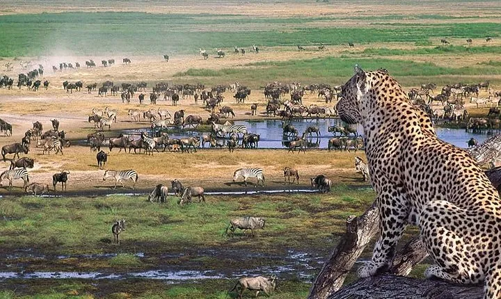 Ngorongoro Crater Day Trip