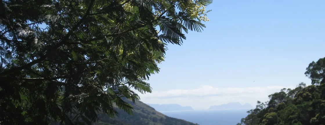 Guided trekking along the Levada de Maroços and Mimosa Valley