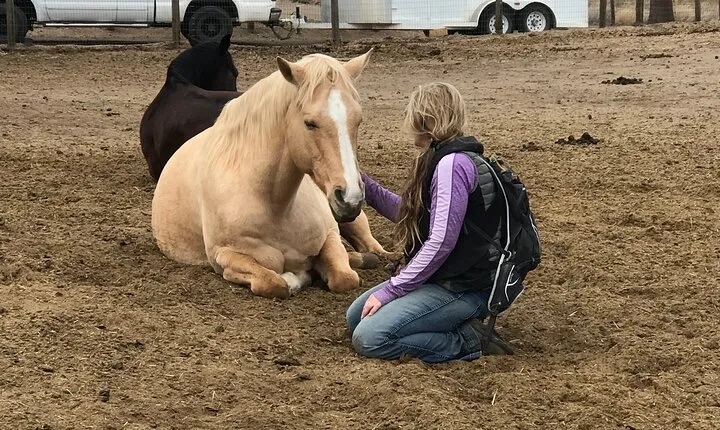 1.5 Hours Private Meditations with the Horses in Oregon