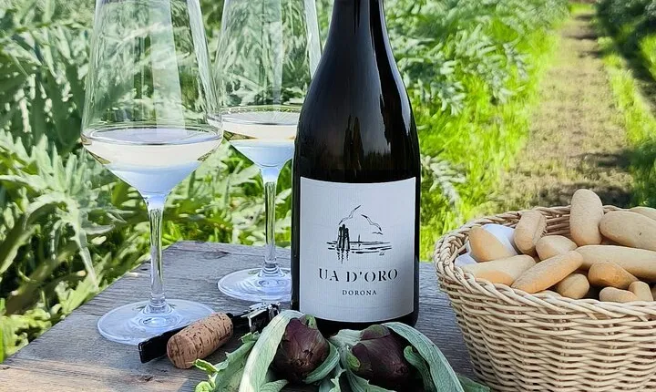 IsolaLeVignole Wine Experience with Light Lunch