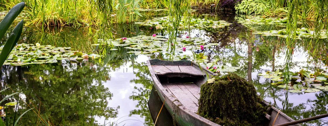 Excursion to Giverny Monet's Gardens and Versailles Palace with audio guide and lunch