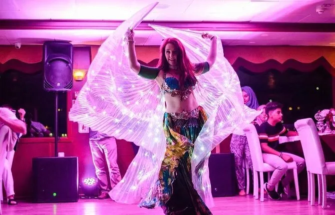 Bosphorus Dinner Show Cruise With Alcoholic Menu