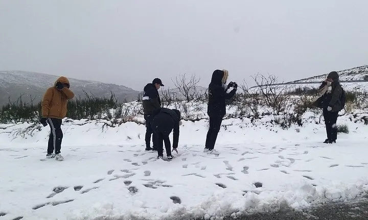 Private Tour through Serra da Estrela Park and its famous cheese