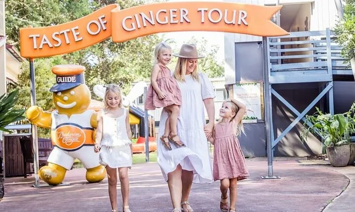 Ginger Factory and Nutworks Return Bus Transfer: Sunshine Coast