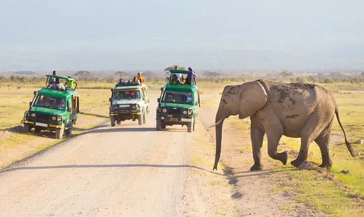 3-Day Safari to Serengeti, Ngorongoro and 1-Day Kilimanjaro Hike