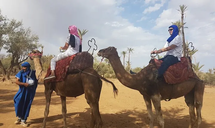 AGAFY Desert
