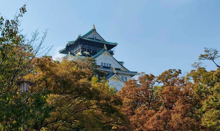 Ultimate Osaka Walking Tour (Castle, Dotonbori) GROUP OR PRIVATE