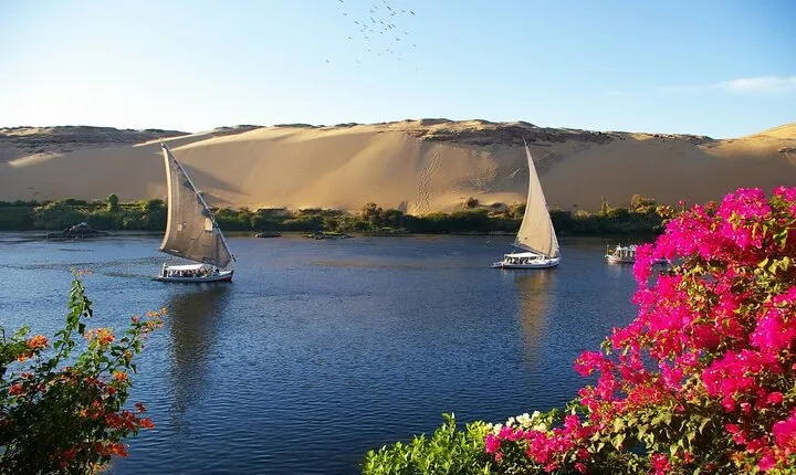 Private Felucca Half Day Tour with Fishing and Lunch from Luxor