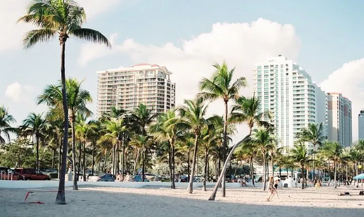 Full-Day Private Everglades and Miami City Tour