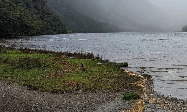 Private Tour of Wicklow, Glendalough & Powerscourt Gardens