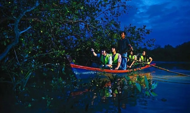 Kuala Selangor Fire Fly Tour - Sharing