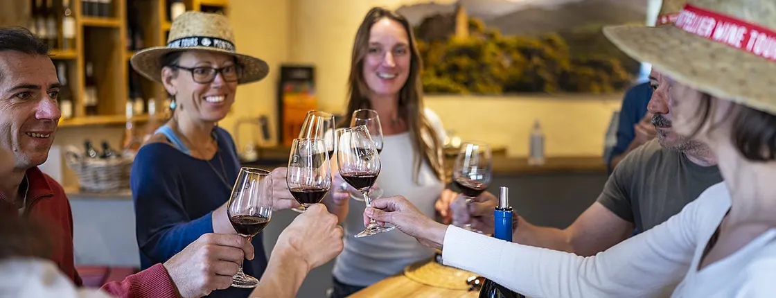 Pic Saint-Loup wine tasting experience for small groups