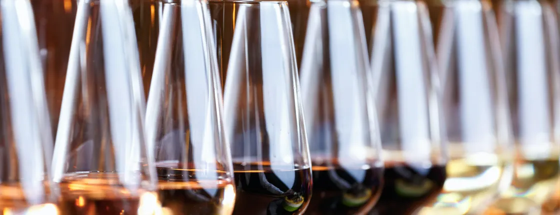 Slovak wine tasting with a sommelier in Bratislava