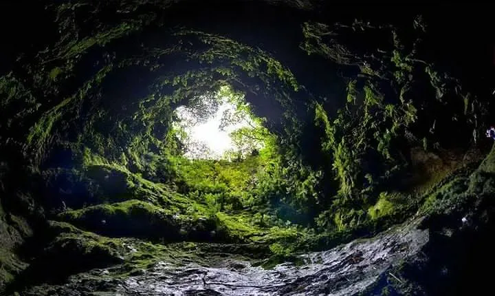 Cave Tour in Terceira