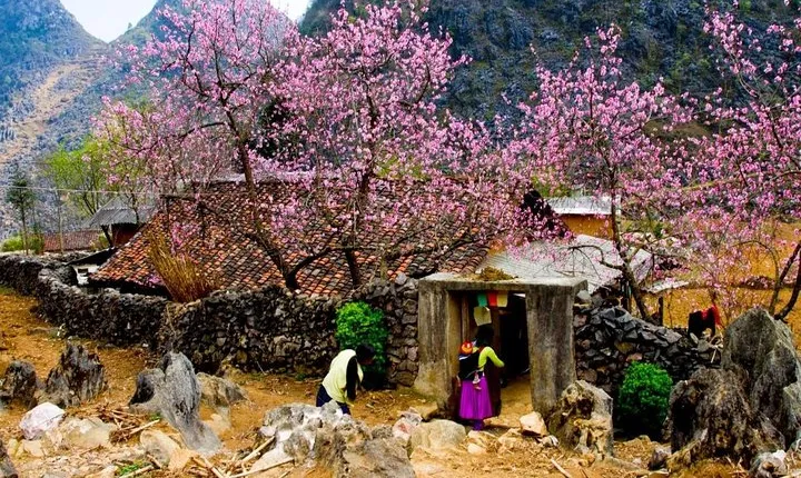 Discover Hagiang 2 Days 1 Night