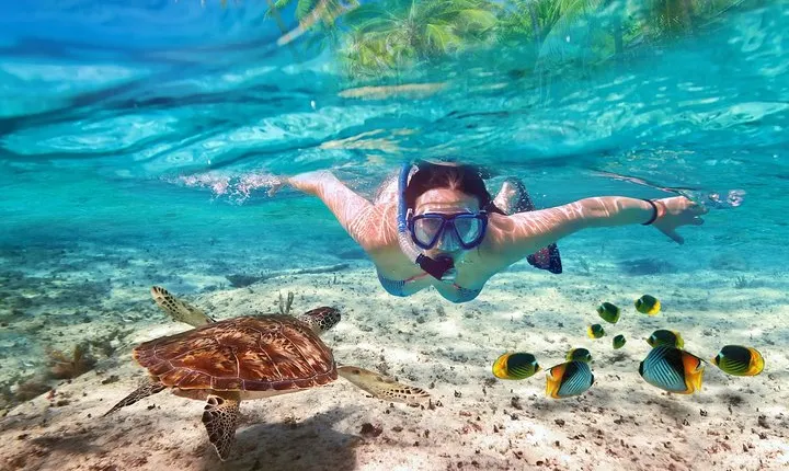 Koh Madsum (Pig island) and Koh Tan Day Tour from Koh Samui