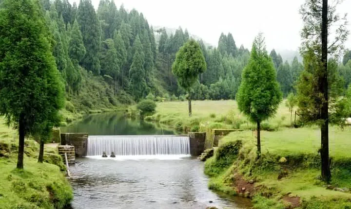 Day Trip to Mawlynnong (Guided Private Sightseeing Experience from Shillong)