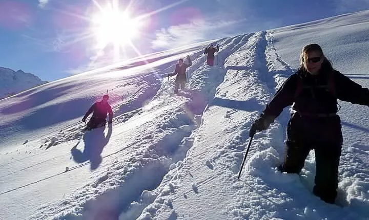 Scenic Snowshoe Adventure in South Lake Tahoe, CA
