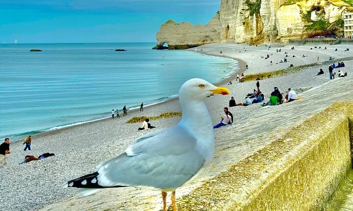 Day Trip from Paris Rouen Etretat and Deauville