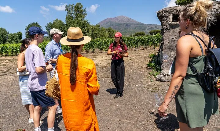 Private Pompeii Tour with Wine Tasting Experience