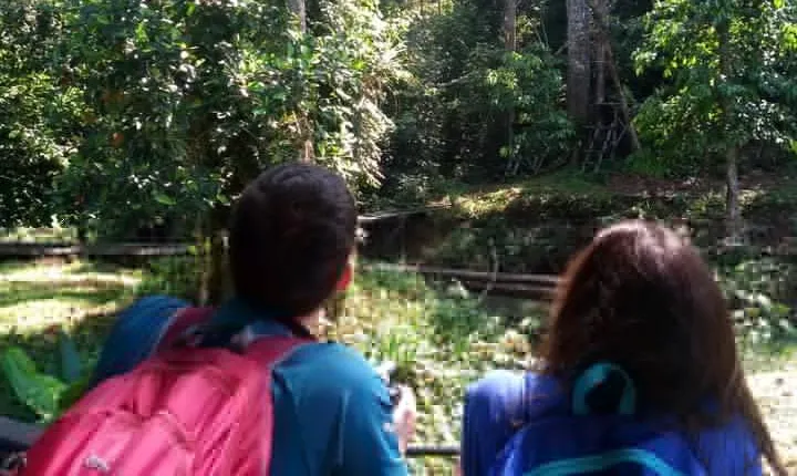 Semenggoh Orangutan Center & Jong's Crocodile Farm
