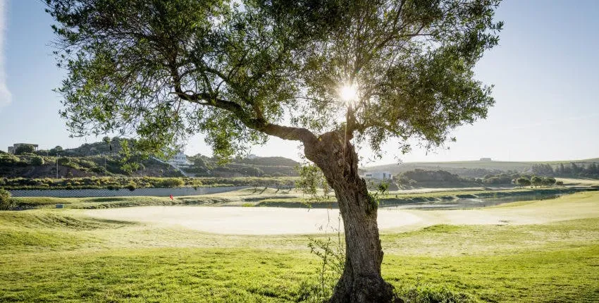 Montecastillo Barcelo Golf Course