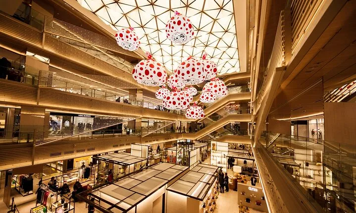 Shopper's Dream: Private Tokyo Shopping Tour in Luxury SUV