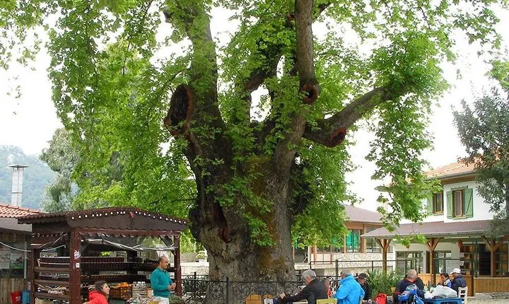 Marmaris Village Tour with Waterfalls & Visit Jesus Beach