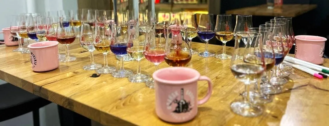 Polish craft gin tasting experience with a local expert in Gdansk