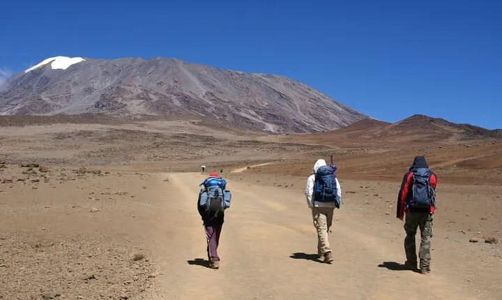 Hiking Mt Kilimanjaro 8 days, the most scenic route up Kili