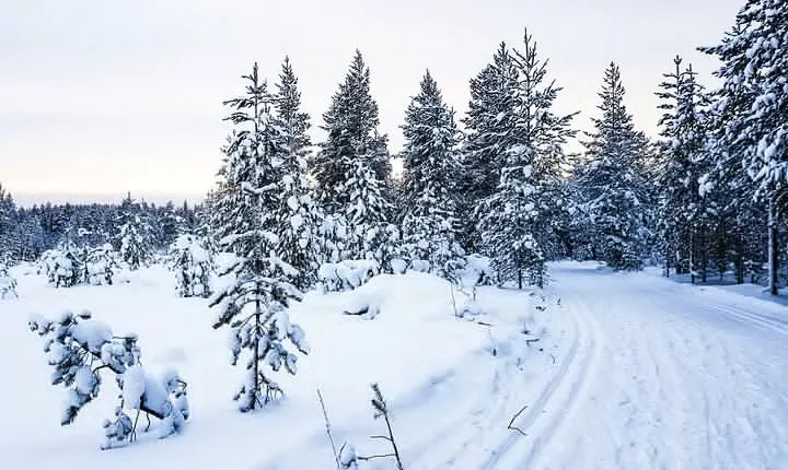 Snowmobile Driving - Afternoon start