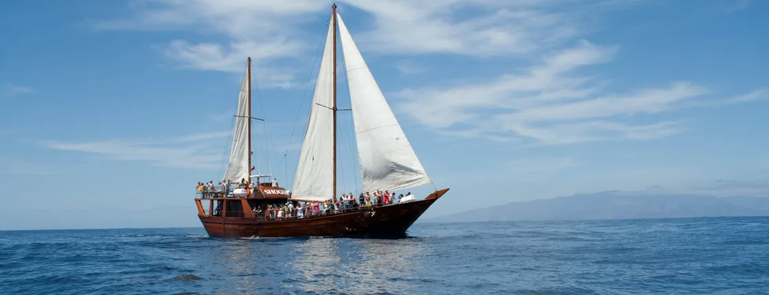 Shogun Boat Trip to Los Gigantes Cliffs