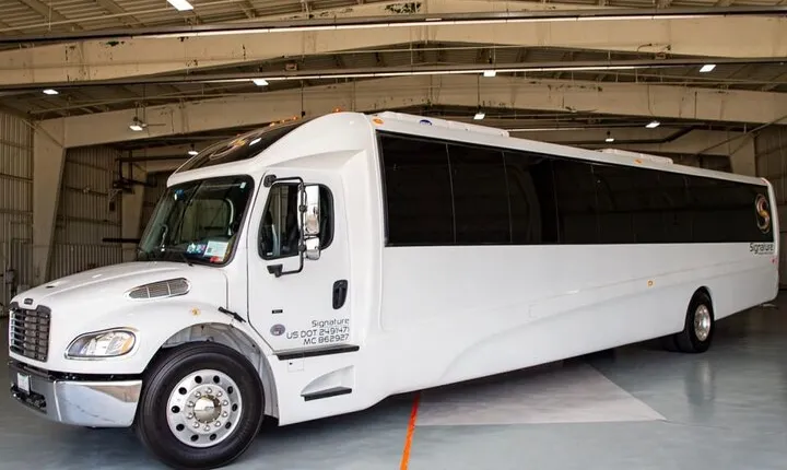 Luxury Minibus Chicago City Tour