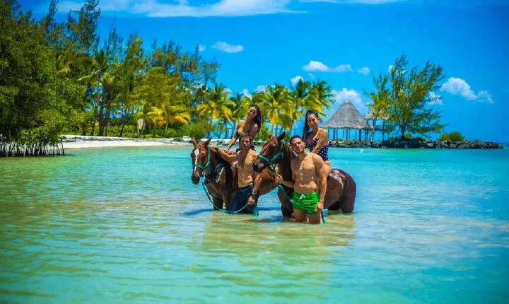 Swimming with Horses at the Beach from Punta Cana Free transportation
